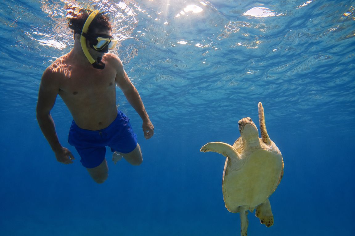 Visitor snorkeling with a graceful sea turtle in Culebra's turquoise waters during an unforgettable marine adventure with Culebra Tours