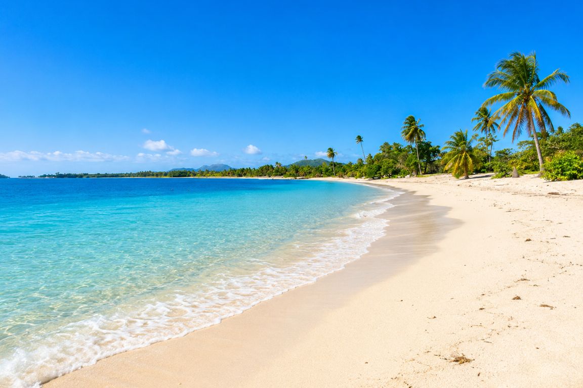 Peaceful Sun Bay on Vieques Island with crystal-clear Caribbean waters, swaying palm trees, and a pristine sandy beach explored during a tour with Culebra Tours